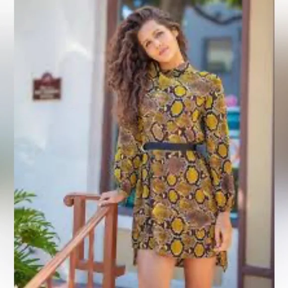 ZARA SNAKESKIN ANIMAL PRINT LONG SLEEVE BELTED BLACK BROWN YELLOW DRESS SZ XS - Picture 2 of 16